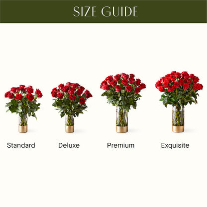 Classic Love Red Rose Bouquet –  Open Blooms Chantilly, Chantilly VA