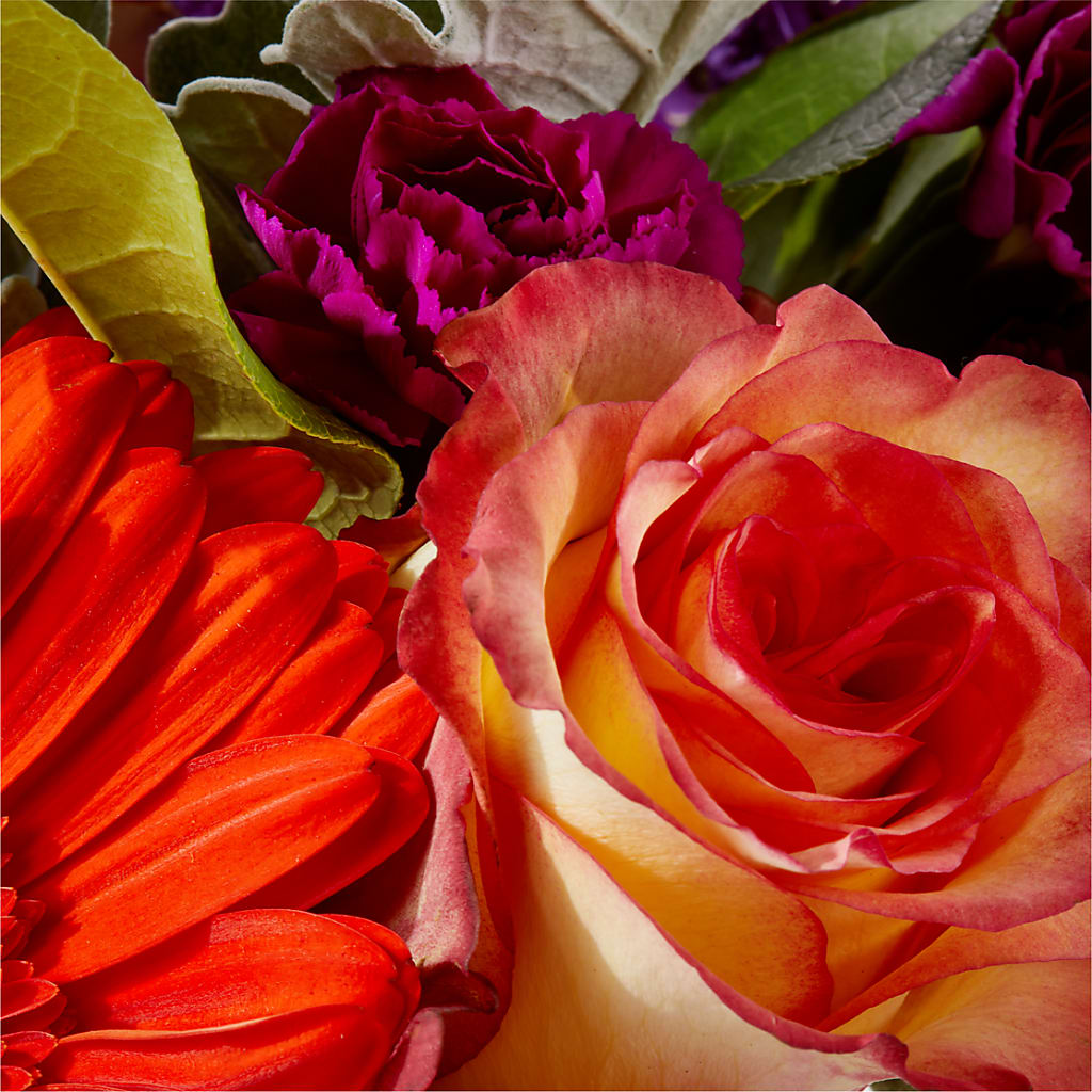Sangria Bouquet –  Open Blooms Chantilly, Chantilly VA