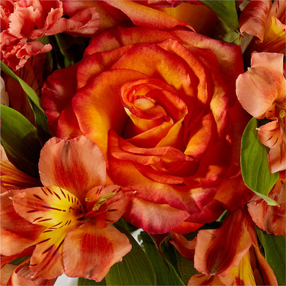 Apricot Glow Bouquet –  Open Blooms Chantilly, Chantilly VA