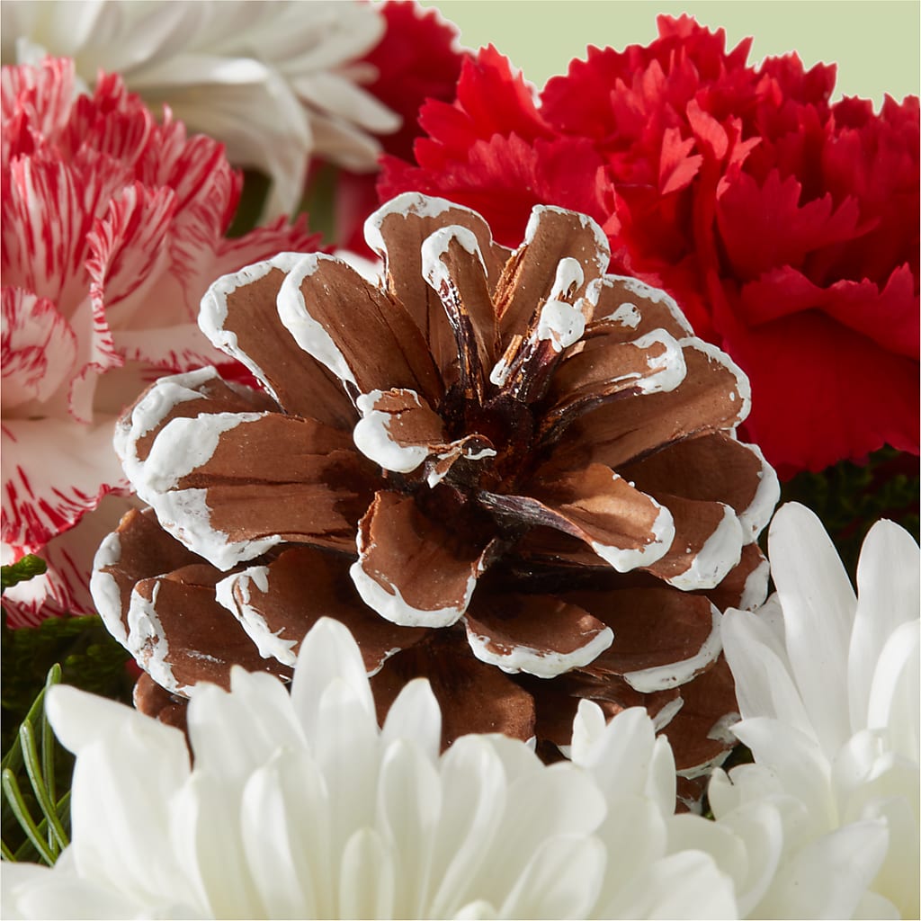 Candy Cane Lane Bouquet –  Open Blooms Chantilly, Chantilly VA