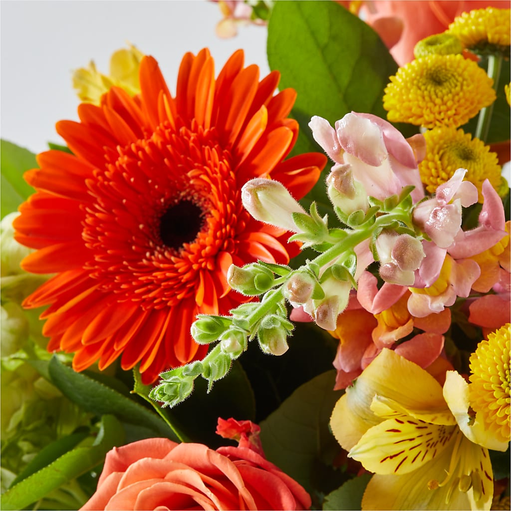 Autumn Sunshine Bouquet –  Open Blooms Chantilly, Chantilly VA