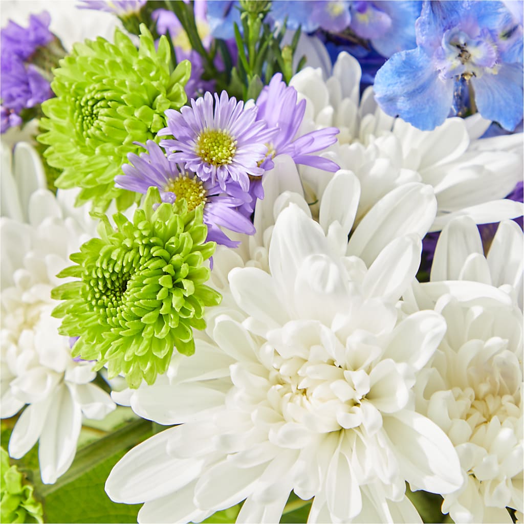 Genuine Gestures Bouquet –  Open Blooms Chantilly, Chantilly VA
