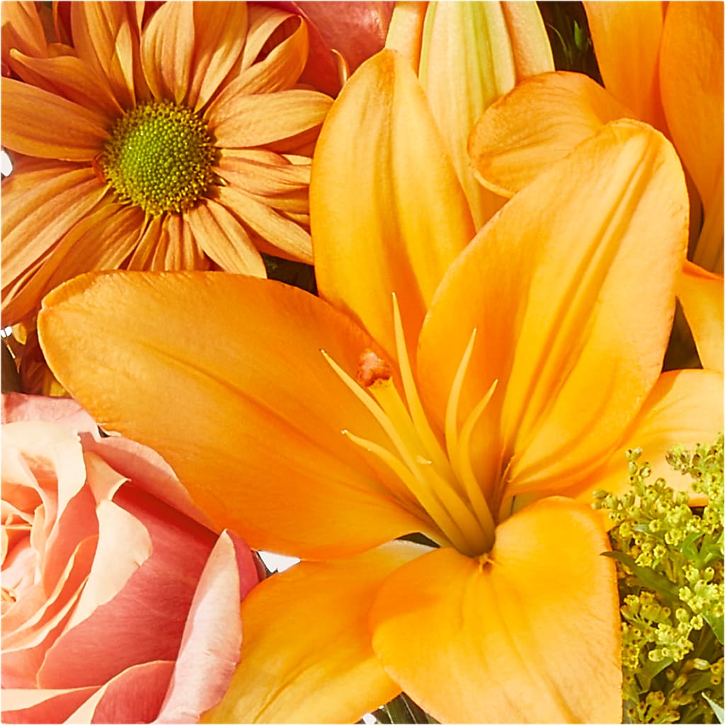 Harvest Hayride Bouquet –  Open Blooms Chantilly, Chantilly VA