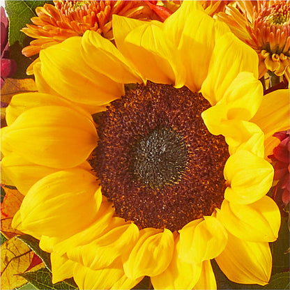 Sunny Side Bouquet –  Open Blooms Chantilly, Chantilly VA