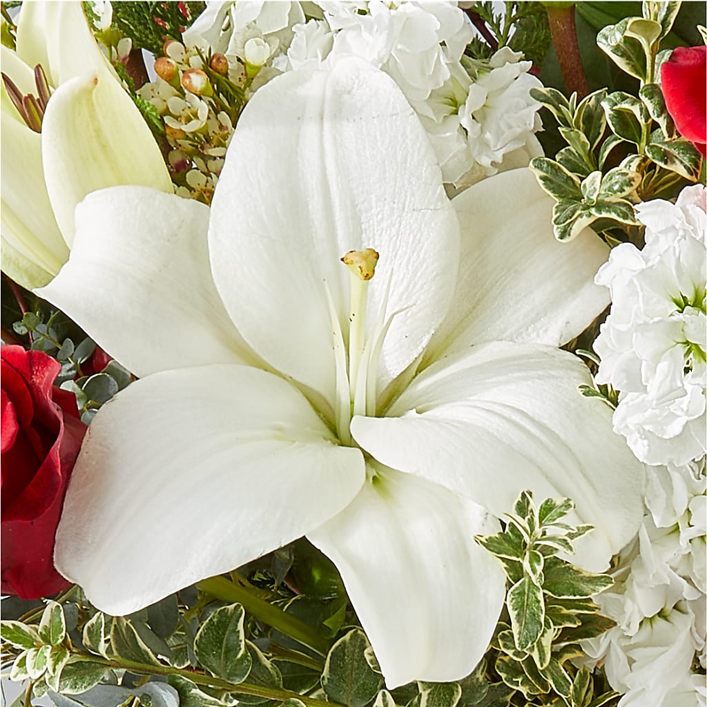 Twinkle Lights Bouquet –  Open Blooms Chantilly, Chantilly VA