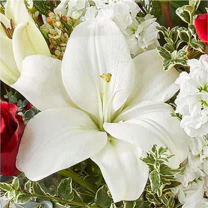 Twinkle Lights Bouquet –  Open Blooms Chantilly, Chantilly VA