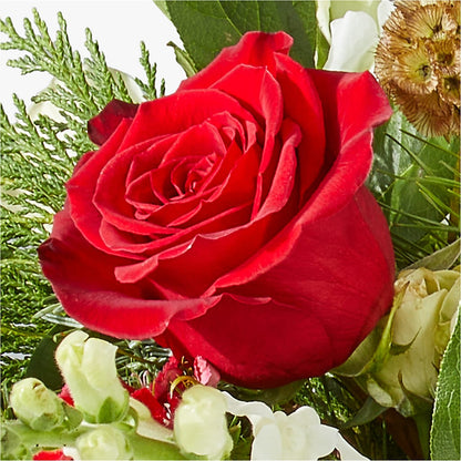 Deck the Halls Bouquet –  Open Blooms Chantilly, Chantilly VA