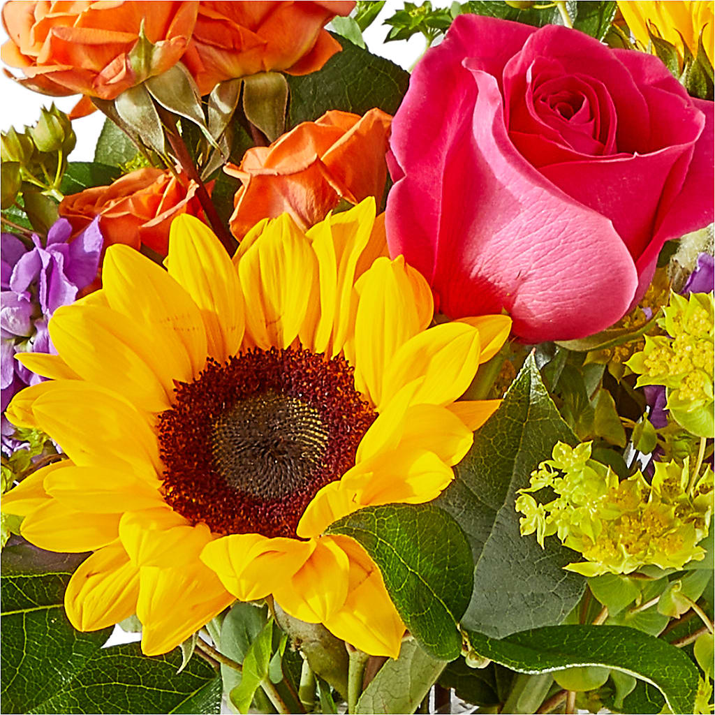 Vibrant Greetings Bouquet –  Open Blooms Chantilly, Chantilly VA