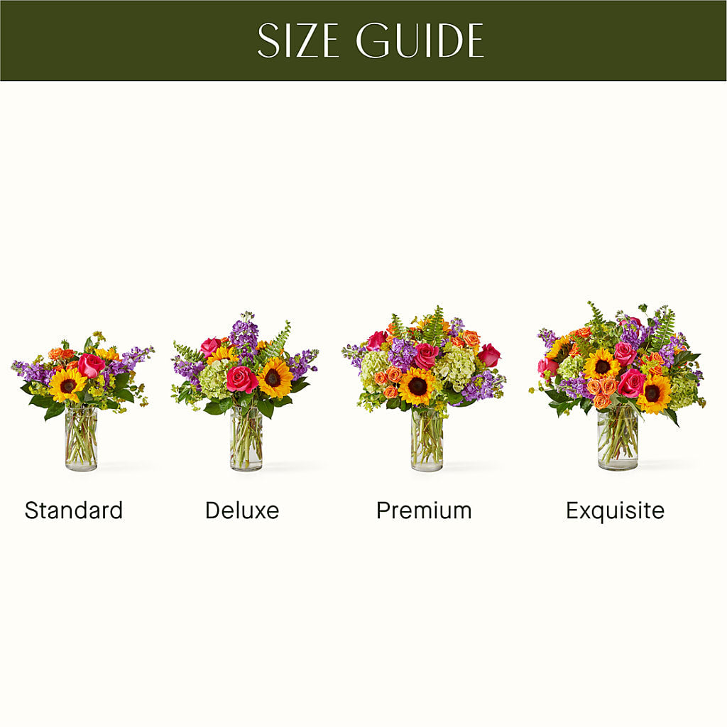 Vibrant Greetings Bouquet –  Open Blooms Chantilly, Chantilly VA