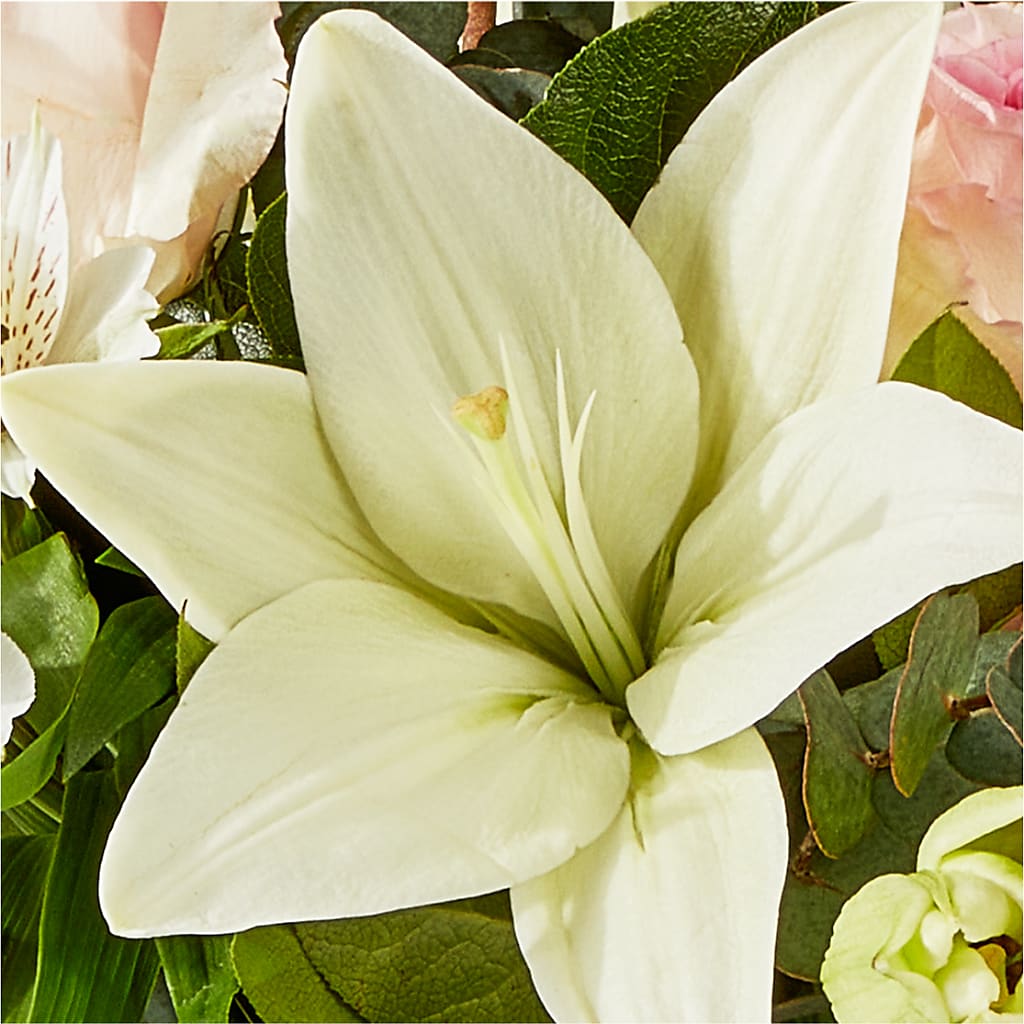 Ballet Slippers Bouquet –  Open Blooms Chantilly, Chantilly VA