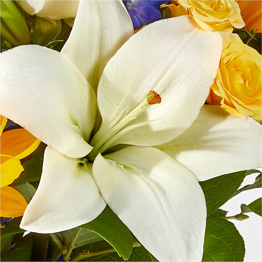 Wonderfully Sunny Bouquet –  Open Blooms Chantilly, Chantilly VA