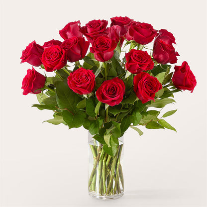 The One Red Rose Bouquet –  Open Blooms Chantilly, Chantilly VA
