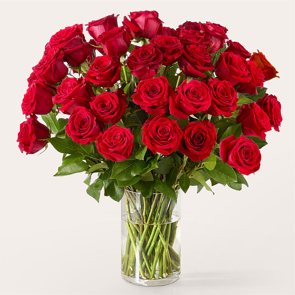 The One Red Rose Bouquet –  Open Blooms Chantilly, Chantilly VA