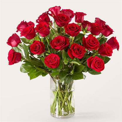 The One Red Rose Bouquet –  Open Blooms Chantilly, Chantilly VA