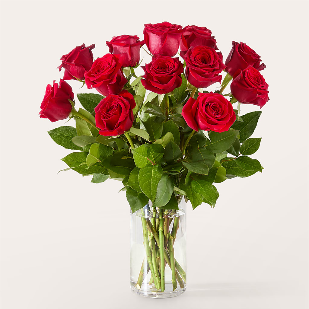 The One Red Rose Bouquet –  Open Blooms Chantilly, Chantilly VA