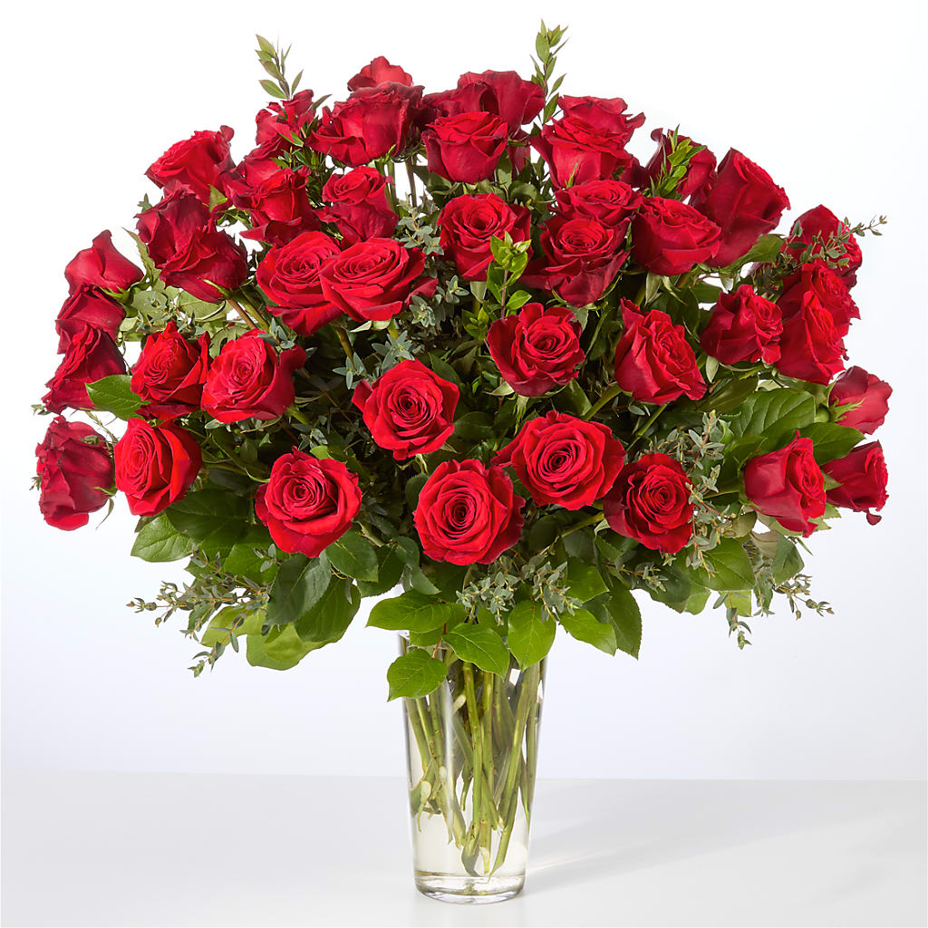 Forever Yours Fifty Stem Red Rose Bouquet –  Open Blooms Chantilly, Chantilly VA