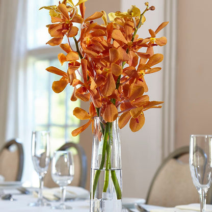 Orange Mokara Bud Vase –  Open Blooms Chantilly, Chantilly VA