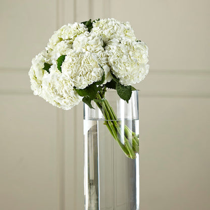 White Hydrangea Hand-Tied Bouquet –  Open Blooms Chantilly, Chantilly VA