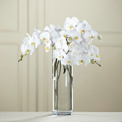 White Phalaenopsis Bouquet –  Open Blooms Chantilly, Chantilly VA