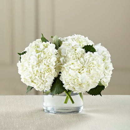 White Hydrangea Bouquet –  Open Blooms Chantilly, Chantilly VA